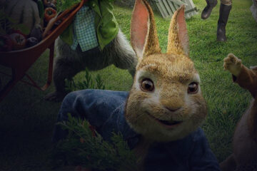 Illustration of a rabbit picking vegetables