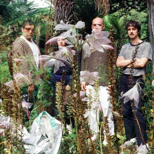 Medium shot of the four composers Cold Beat standing on a forest. The photo is overlapped with an image of white flowers.